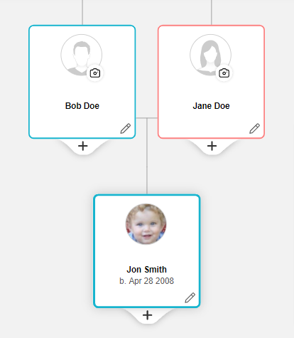 Adopted child's biological family tree